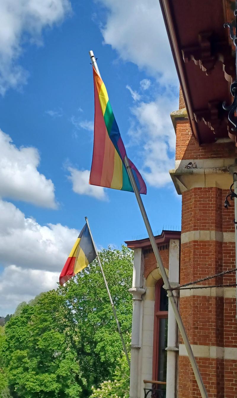 Regenboogvlag